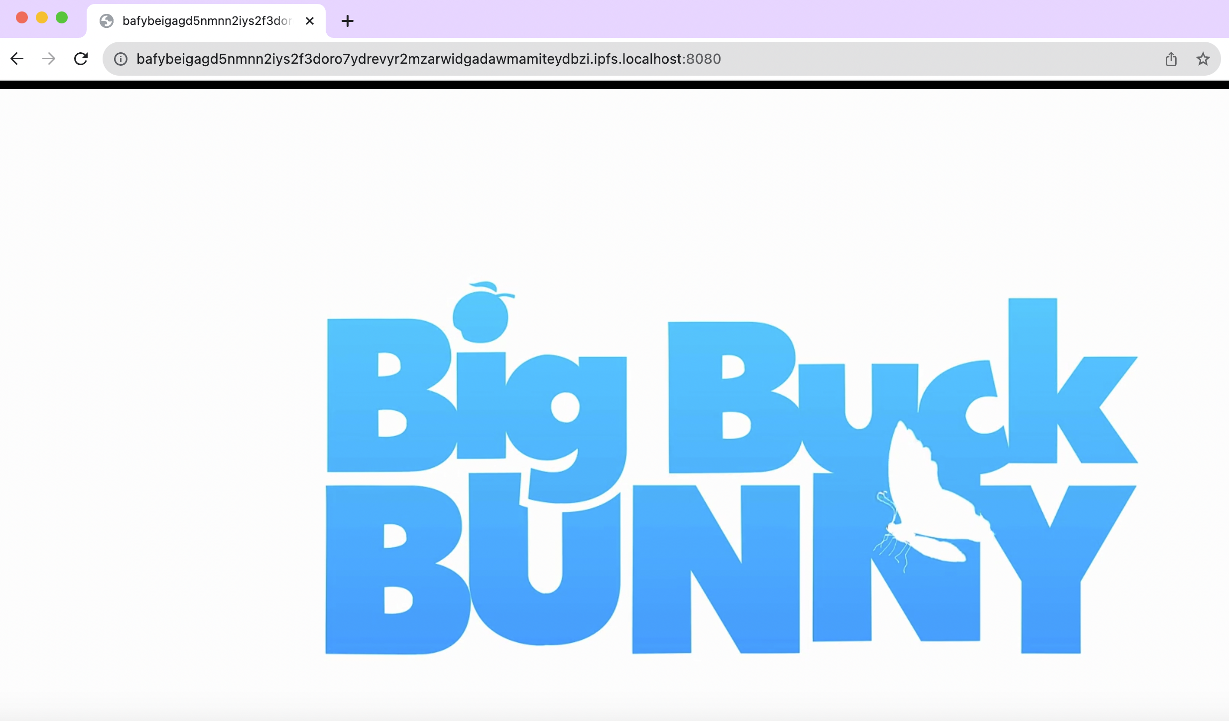 Local gateway path to Big Buck Bunny - Screenshot