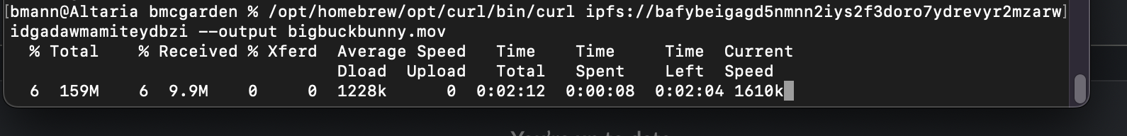 Terminal screenshot of Curl using IPFS